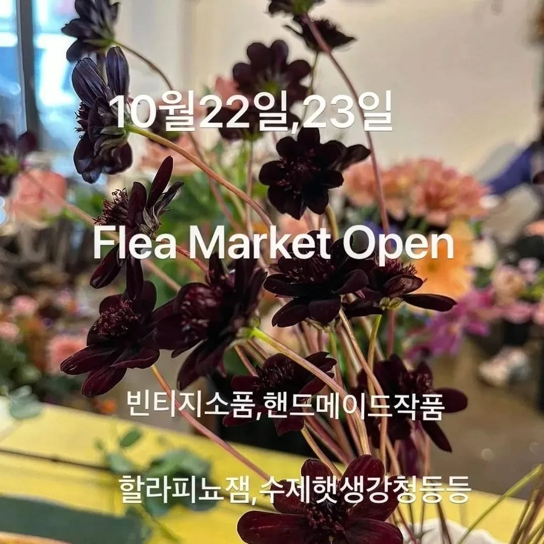 목동 플리마켓 — 첫 참가 준비 안내