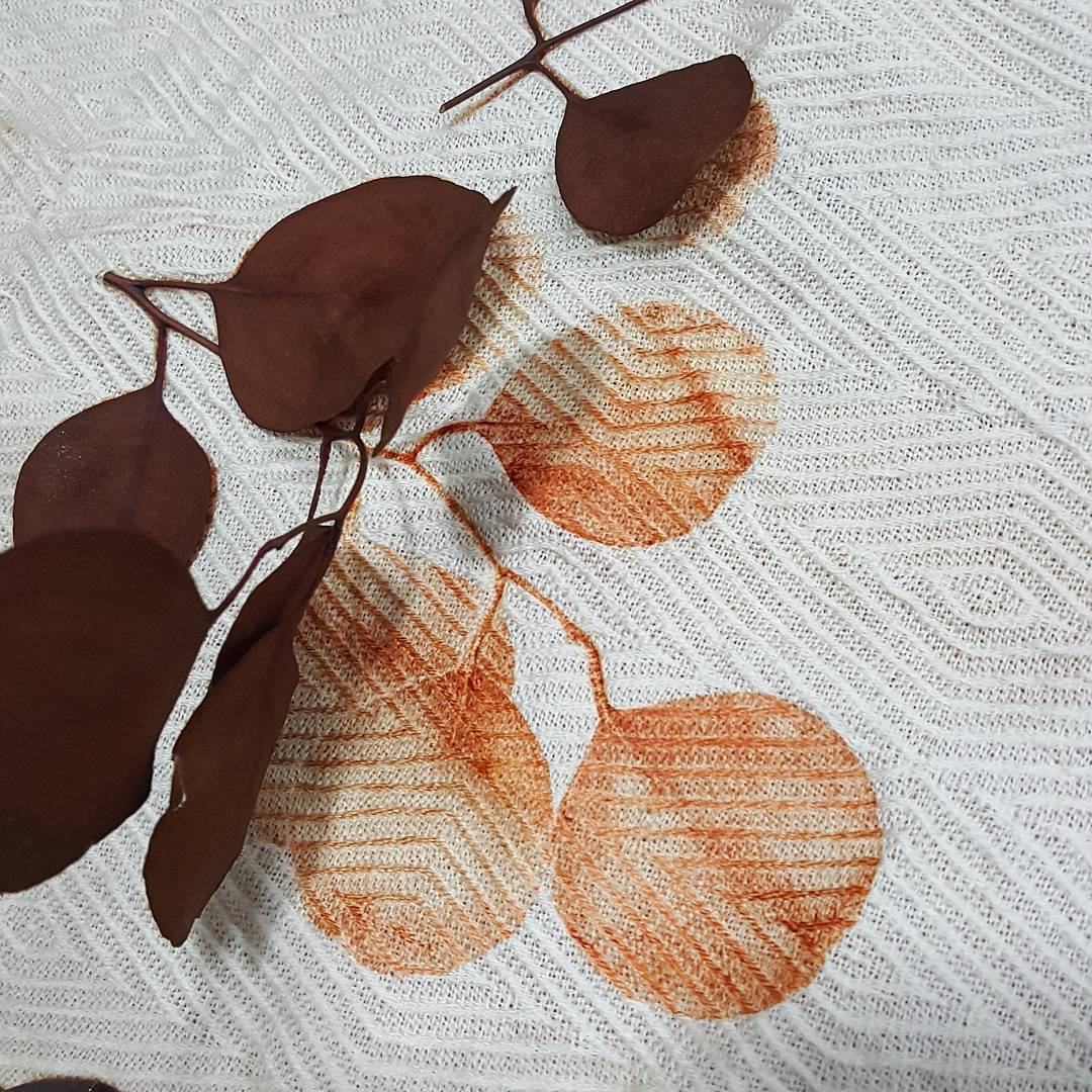 울 위에 남은 잎맥